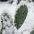 When Trusted Tools Turn Against Your Business